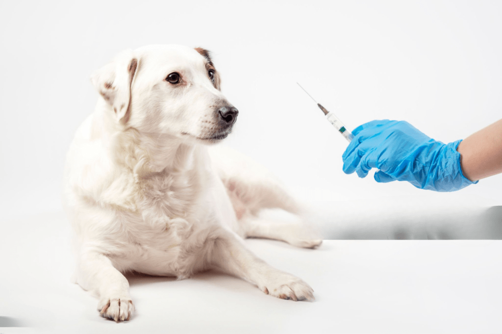 how puppies need to vaccinated
